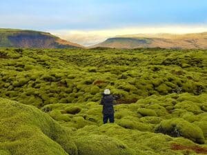 Découvrir l'Islande : Les champs de lave en Islande