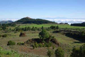 Randonnée Canaries forêts de l'Ile Hierro Akaoka