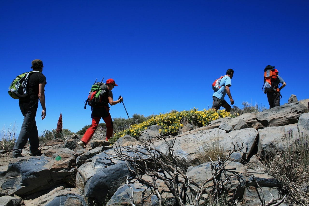 Randonnée à Tenerife : séjour en liberté sur l'Ile des Canaries