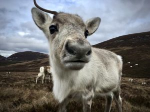 Randonnées découverte à l'ouest Ecosse : Visiter l'île de Skye