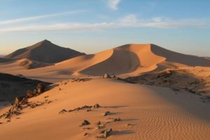 Séjour en Algérie : dunes de sables dans le désert de l'Ahnet Akaoka