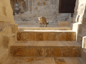 Visite Turquie : la maison traditionnelle en Cappadoce