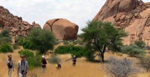 Voyage en Namibie en plein cœur de la savane Akaoka
