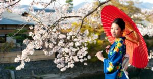 Voyage au Japon : découverte de la culture sous les cerisiers Akaoka