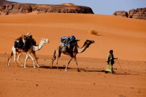 Randonnée en Algérie Méharée dans le grand Erg Chech Akaoka