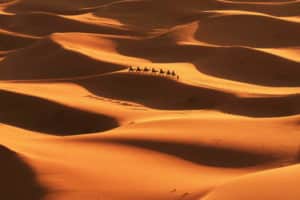 Découverte de l'Algérie et randonnée chamelière dans le nord du Méharée dans le désert
