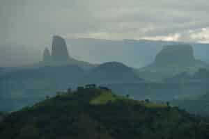 Randonnée guidée en Éthiopie dans la végétation du massif de Balé Akaoka