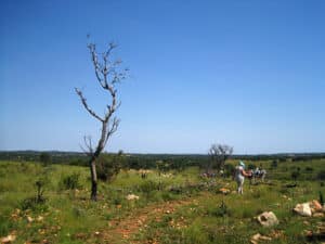 Randonnée en Afrique du Sud à Cap Town Akaoka