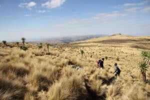 Randonnée guidée en Éthiopie dans le désert Akaoka