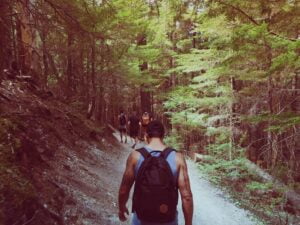 Randonnée au Monténégro en forêt
