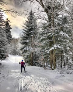 Randonnée Ski de fond et raquette en Finlande: vue sur les paysages