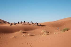 Randonnée chamelière en Mauritanie dans le désert de l'Adrar Akaoka