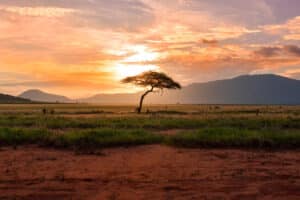 Trek au Kenya : coucher de soleil dans la réserve nationale Maasai Mara Akaoka