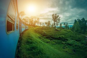 Voyage au Sri Lanka : découverte en train du paysage, en traversant les campagnes Akaoka