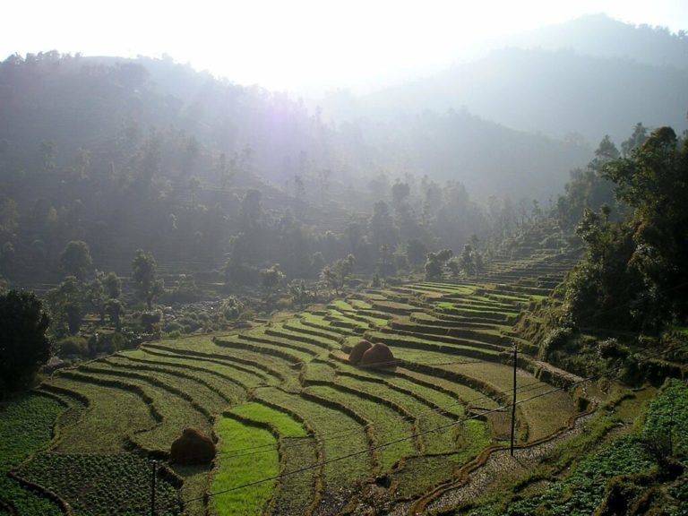 Trekking au Népal : des rizières dans la région montagneuse d'Helambu Akaoka