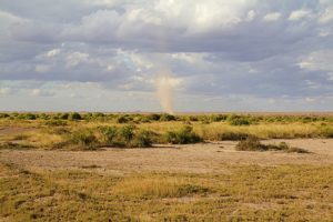 Safari au Kenya dans la réserve naturelle du Samburu Akaoka