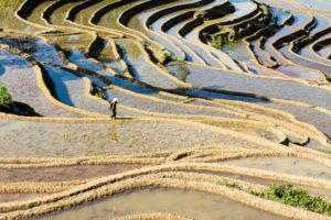 Voyage en Chine visite d'un champ de riz en forme d'escalier Akaoka