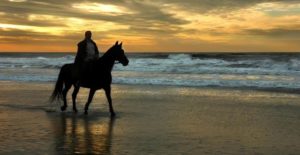 Randonnée Dingle Way : Randonneur sur le dos d'un cheval sur la plage