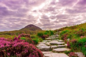 Randonnée Dublin : Ruelle des fleurs au paysage