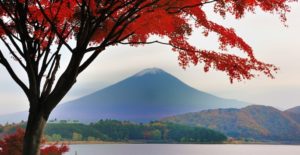 Randonnée au Japon : vue sur le Mont Fuji depuis le bord d'un lac Akaoka
