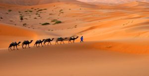 Randonnée en Algérie en chameau dans le désert Tassili dans le Hoggar Akaoka