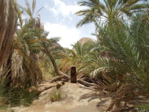 Randonnée Egypte oasis dans le désert de Louxor Akaoka