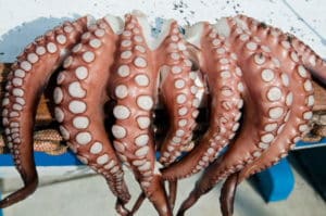 Voyage Cyclades gastronomie poulpe Akaoka