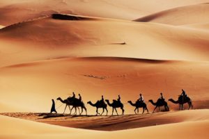 Randonnée chamelière en Tunisie dans le désert Akaoka