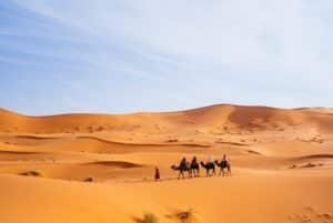 Randonnée au Maroc en dos de chameau Akaoka