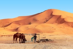 Trek Algérie dans le grand Erg occidental à dos de chameau Akaoka