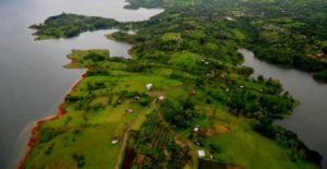 Voyage au Costa Rica : vue en hauteur sur la campagne verdoyante Akaoka