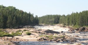 Randonnée guidée au Canada au bord d'une rivière entourée d'une forêt Akaoka