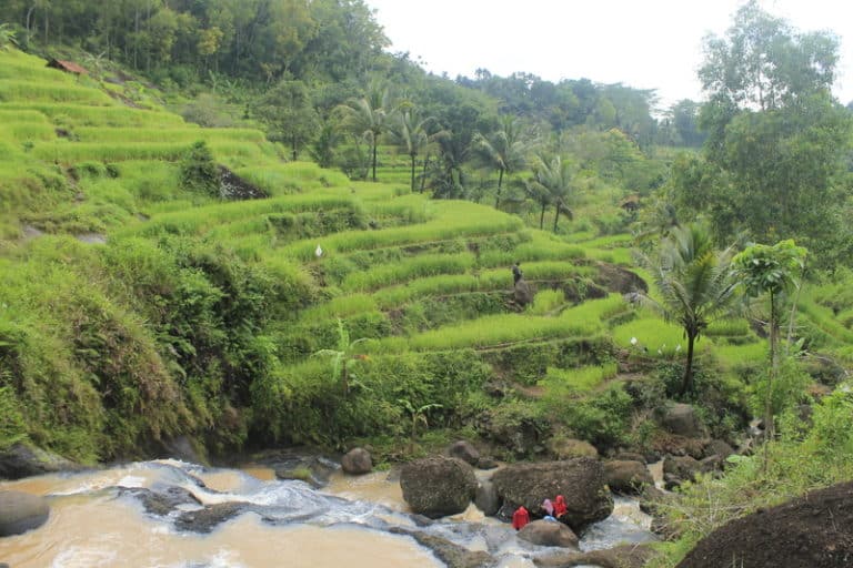 Trekking Indonésie dans le parc de Lorolindu Akaoka