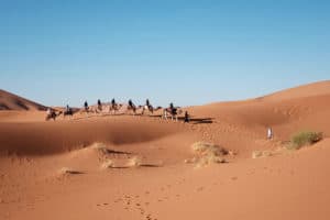 Trek Egypte en chameaux dans le désert du Sinaï