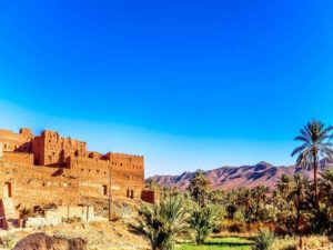 Voyage au Maroc : un jardin de palmeraies dans le grand sud marocain Akaoka