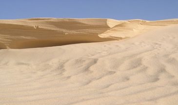 Tembaïne – Balade unique à dos de chameau jusqu’au grand erg oriental