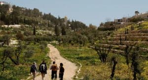 City Trek à Jerusalem Israel | Akaoka
