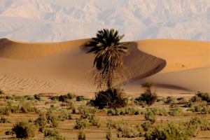 Randonnée Jordanie désert Wadi Araba