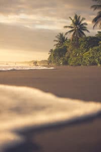 Voyage au Costa Rica : une plage bordée d'une forêt avec des palmiers Akaoka