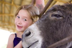 Visite Rando Cévennes : Une petite fille avec un très grand sourire avec un âne