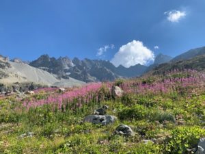 Randonnée au Vue large des collines du parc des écrins, ciel bleu dégagé et un magnifique paysage floral.