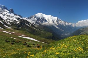 Rando France : Magnifique paysage florale et vue sur le Mont-Blanc
